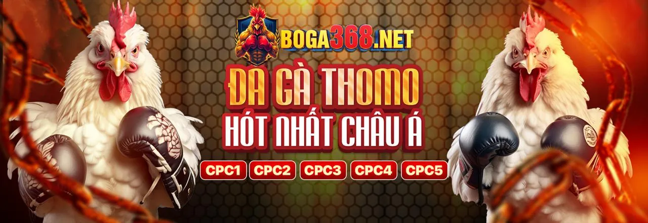 Hướng dẫn tham gia vvndwin