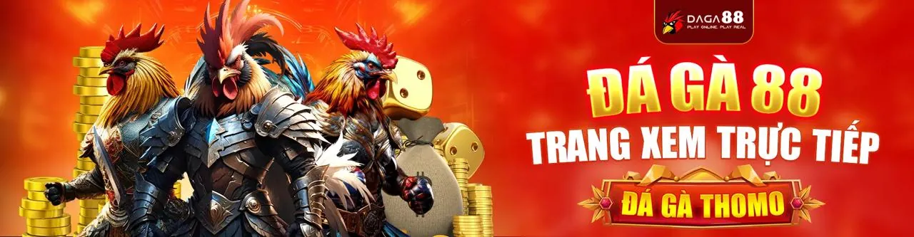 Đá gà trực tuyến vvndwin