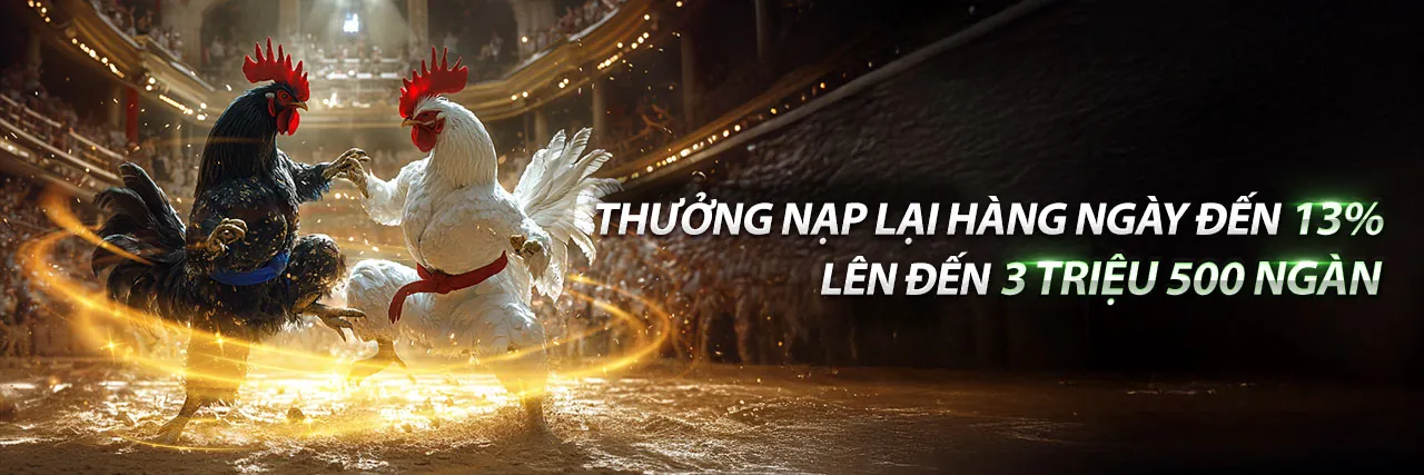 Các chương trình khuyến mãi hấp dẫn tại vvndwin